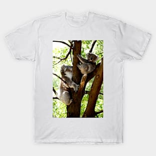 Mother & Son Koalas T-Shirt